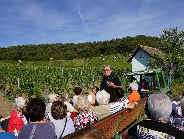 - © Schmittn-Hof Schmittn-Hof Weinbergführung