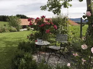 Blick aus dem Garten