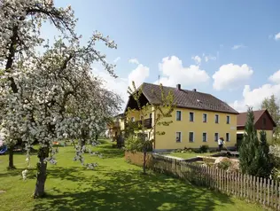 Spielmöglichkeit für Hunde im großen Bauerngarten