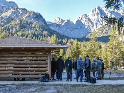 Besuchergruppe bei der Adlerbeobachtung Klausbachtal