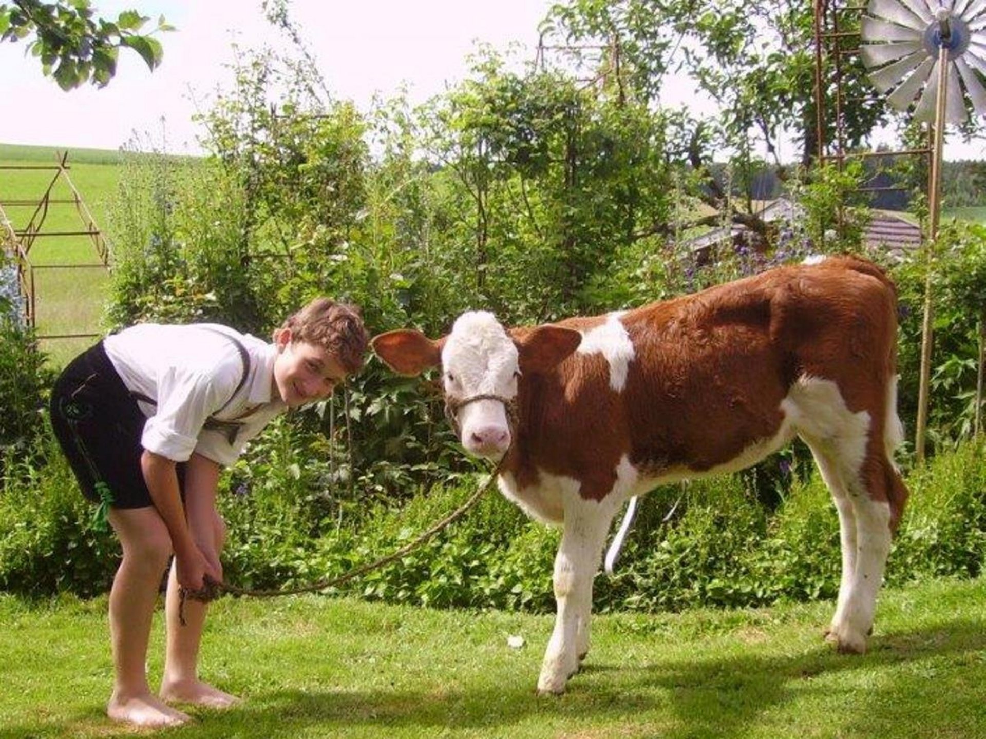 Bauernland - © Bauernland Inn-Salzach e.V. Junge in Lederhose mit Kalb
