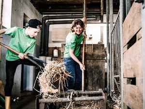 Arbeit im Kuhstall auf dem Biohof