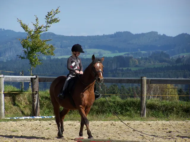 Kind lernt auf eigenem Reitplatz reiten