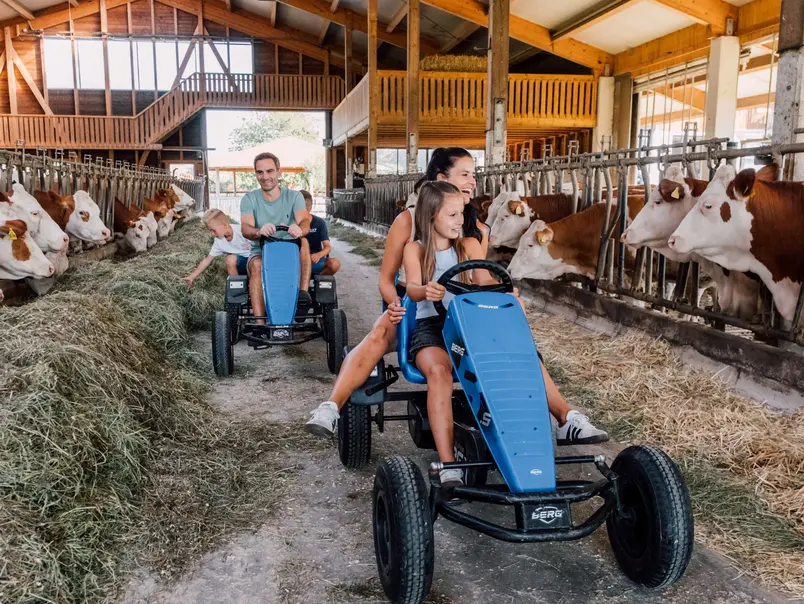 Stallerlebnisse im Kuhstall - © Ferienparadies Huberhof Stallerlebnisse im Kuhstall für die ganze Familie