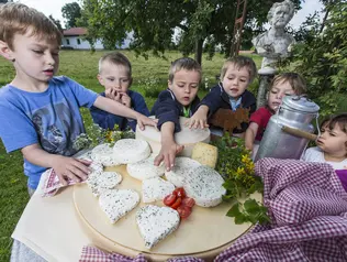 Gäste lernen die Herstellung von Mozzarella