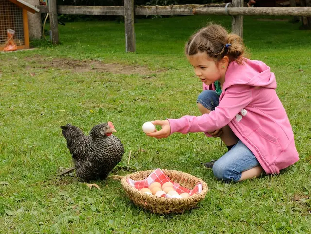 Frühstücksei bei Urlaub auf dem Bauernhof im Naturpark Altmühltal