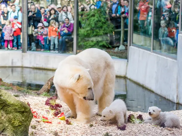 Tierpark Hellabrunn - © Tierpark Hellabrunn Tierpark Hellabrunn