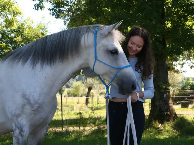 Auf den Bauernhof mit dem eigenen Pferd