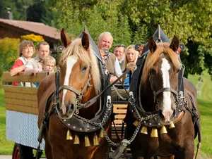 Kutschfahrt auf dem Bauernhof in der Region Chiemsee