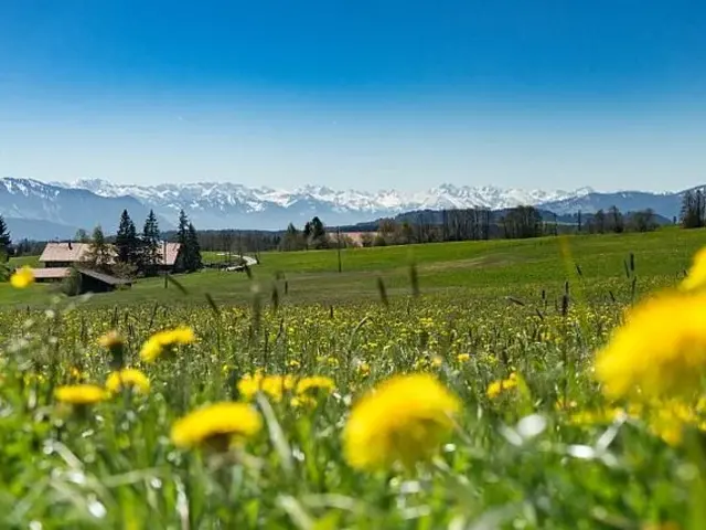 Familienurlaub auf dem Bauernhof