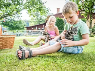 Kinder können mit den zutraulichen Katzen kuscheln