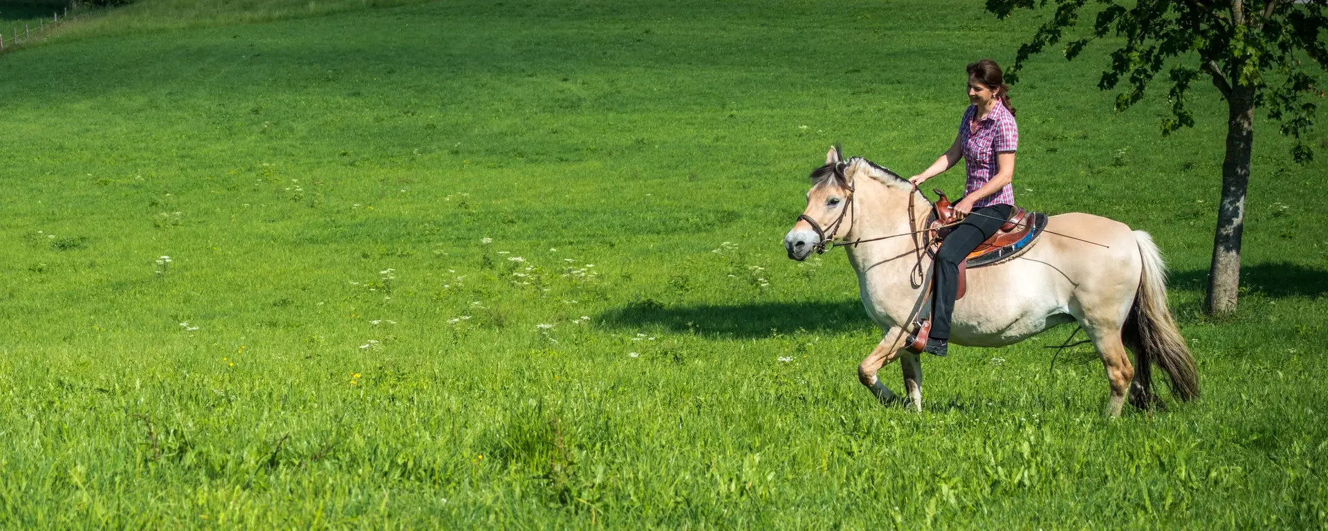 Urlaub mit Reitmöglichkeit für Groß und Klein auf Ferienhöfen in Bayern