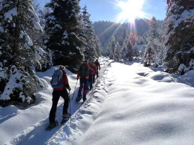 Schneeschuhwandern im Tölzer Land