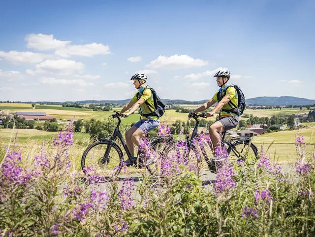 Radeln auf dem Bockl-Radweg im Oberpfälzer Wald