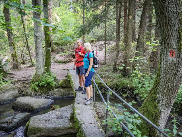 Wandern im Lerautal - © Tourismusverband Oberpfälzer Wald Wandern im Lerautal im Oberpfälzer Wald