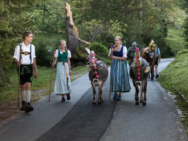 Almabtrieb im Berchtesgadener Land