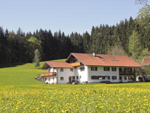 Idyllische Lage in der Natur