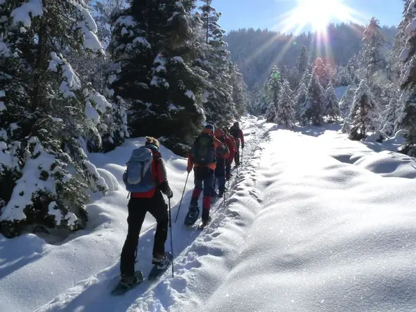 Schneeschuhwanderung im Winterurlaub auf dem Streidlhof