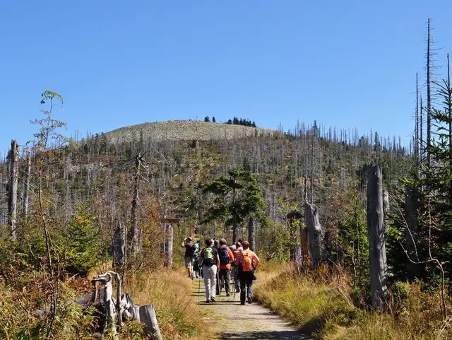 Wanderer am Lusen im Bayerischen Wald