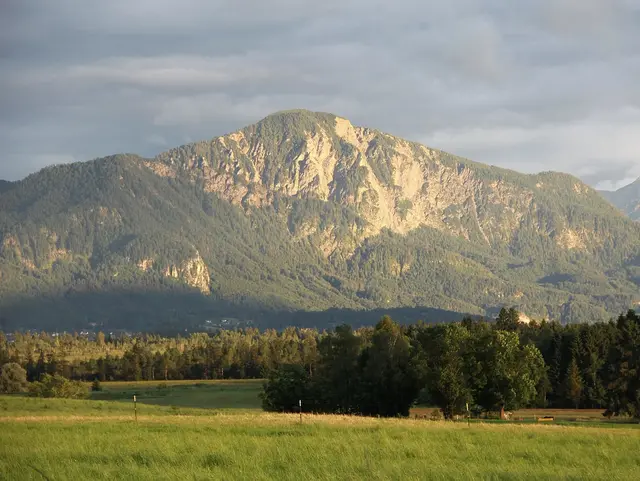 Bergblick vom Seeleitenhof