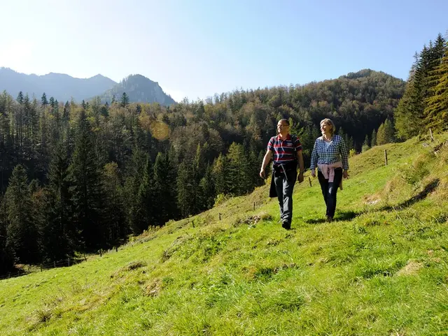 Wandern vom Bauernhof auf die Alm in der Region Chiemsee