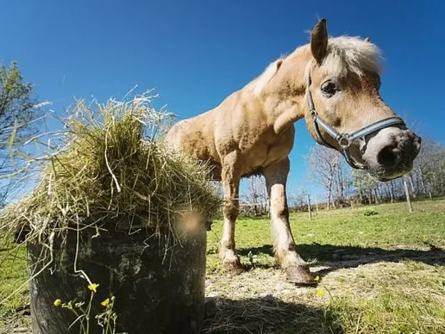 Familienurlaub auf dem Bauernhof