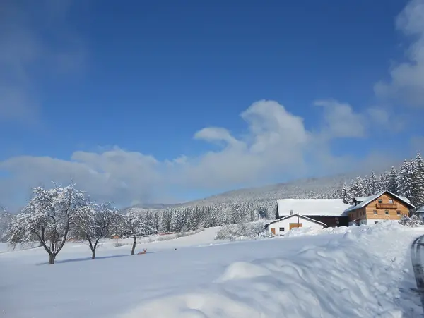 Winterurlaub mit Blick auf den Bayerischen Wald auf dem Familiennest Pauli