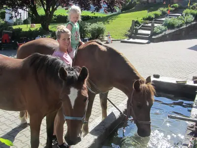 Pferde zum Reiten auf dem Ferienbauernhof Jakob