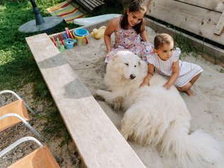 Hofhund Maja freut sich auf alle Gäste