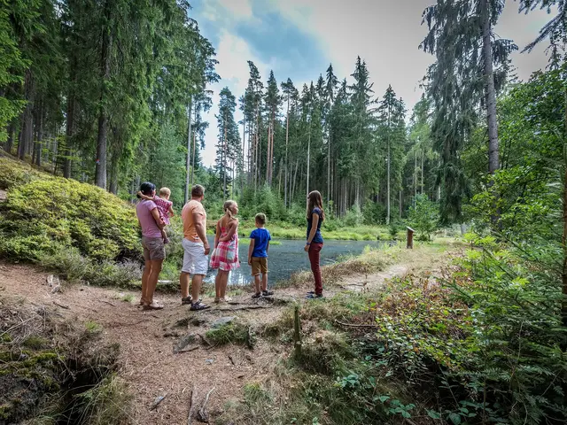 Schleifererpfad an der Glasschleif - © Tourismusverband Oberpfälzer Wald Schleifererpfad an der Glasschleif in Pullenreuth im Oberpfälzer Wald