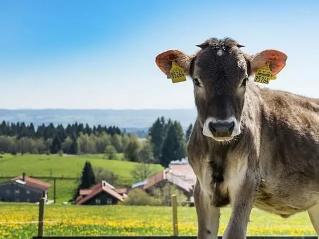 Familienurlaub auf dem Bauernhof