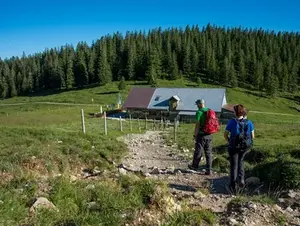 Wanderer auf dem Weg zur Jocheralm am Jochberg im Tölzer Land