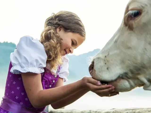 Mädchen mit Kuh auf der Alm Langerbauernalm