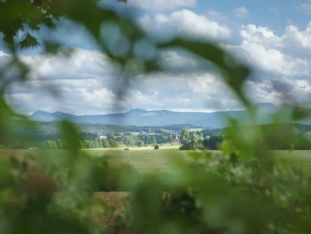 Blick auf Holzkirchen