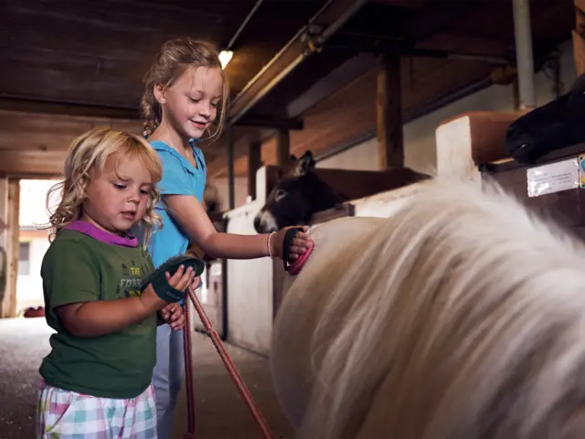 Das Highlight für die Kinder - die Ponys zu pflegen