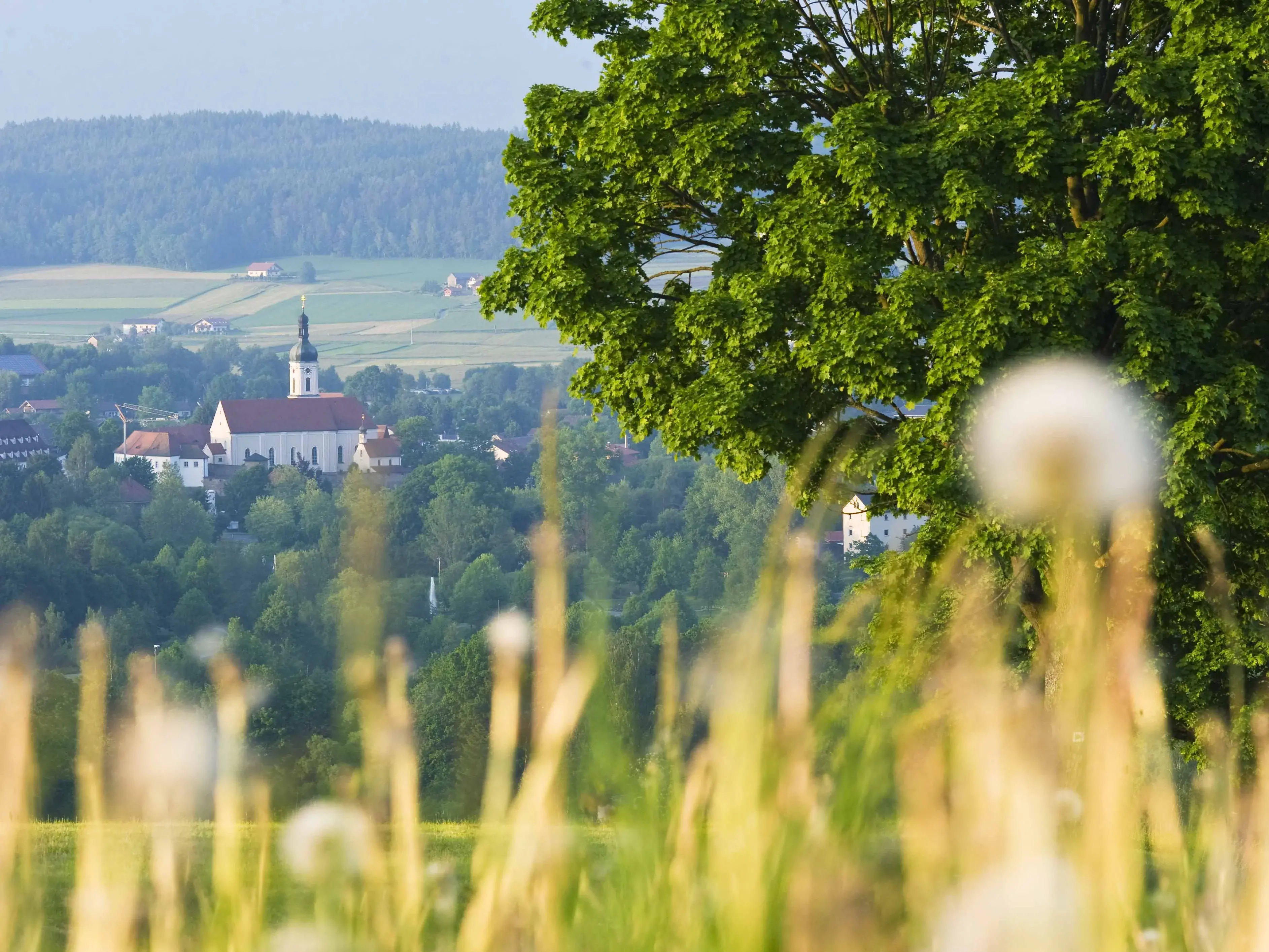 Bayerischer Wald - © Andreas Hub Landschaft Panorama Bayerischer Wald