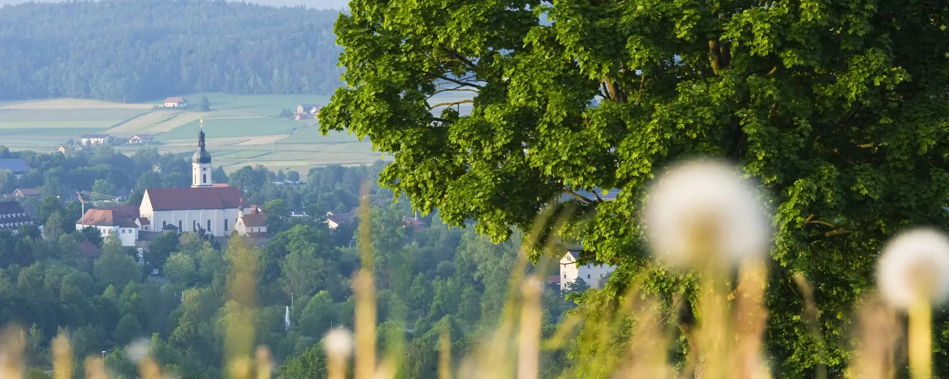 Bayerischer Wald - © Andreas Hub Landschaft Panorama Bayerischer Wald
