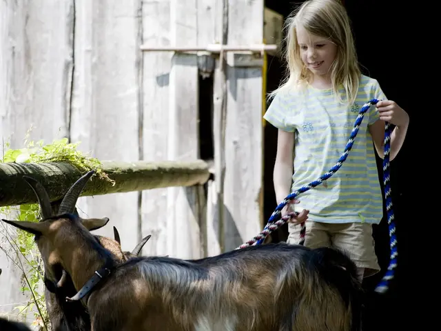 Familienurlaub auf dem Bauernhof