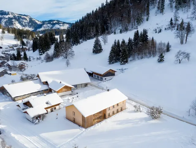 Luftaufnahme mit Bergpanorama vom Erlenhof in Bad Hindelang