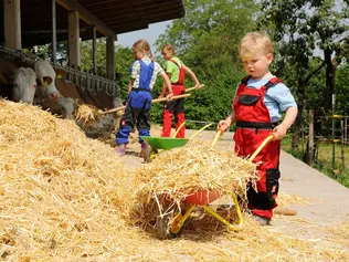 Kinder dürfen im Stall mitarbeiten