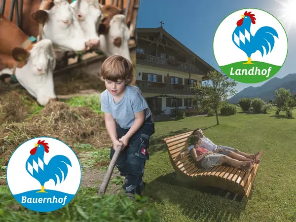 Collage zur Unterscheidung von Bauernhofurlaub und Landurlaub