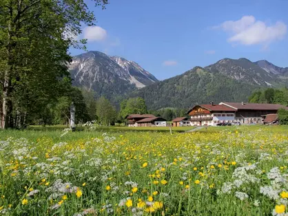 Idealer Ausgangspunkt zum Wandern - der Klarerhof im Voralpenland