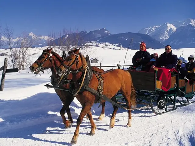 Pferdeschlittenfahrt vor Alpenpanorama Winter im Allgäu