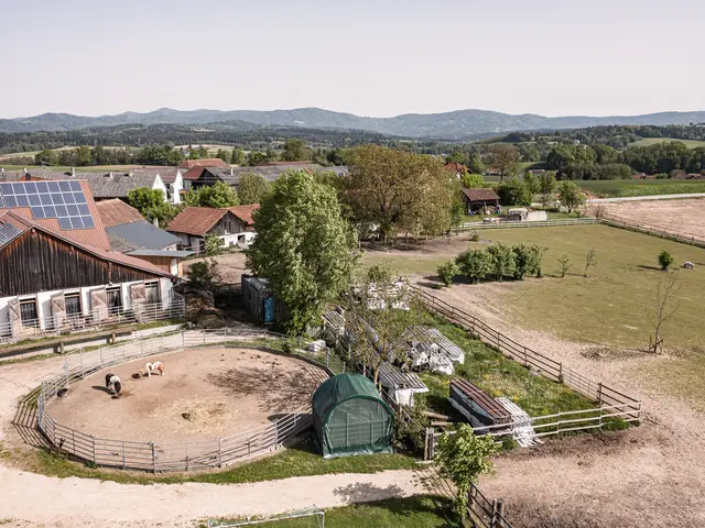 Reitlounge zum Reiten lernen