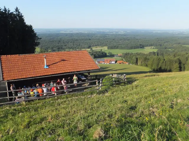 Alm vom Bussjägerhof