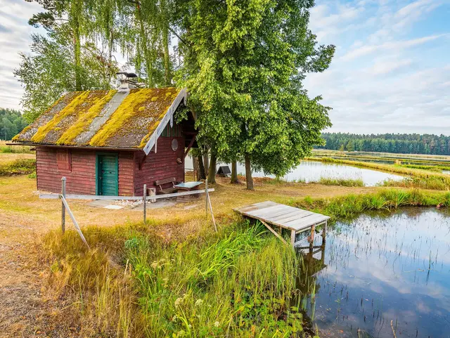 Im Land der 1000 Teiche - © Tourismusverband Oberpfälzer Wald Teichlandschaft im Land der 1000 Teiche im Oberpfälzer Wald