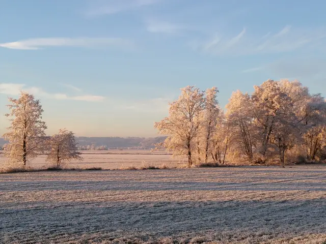 Schneebedeckte Natur im Romantischen Franken bei Urlaub auf einem Bauernhof erleben