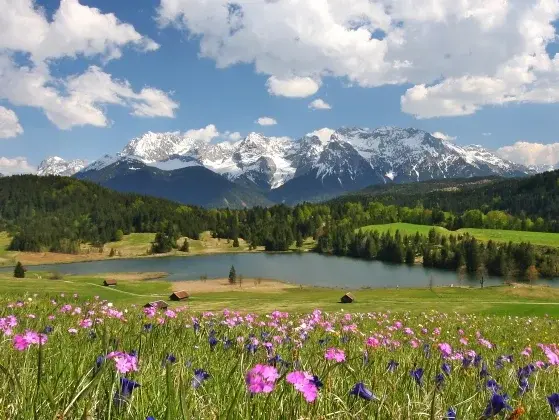 Frühlingserwachen in der Alpenwelt Karwendel - © Rudolf Pohmann Gestern noch tief verschneit und schon morgen mit vielfältiger Blumenpracht überzogen. Das ist Frühlingserwachen in der Alpenwelt Karwendel - eine wahre Blütenpracht in allen Farben.