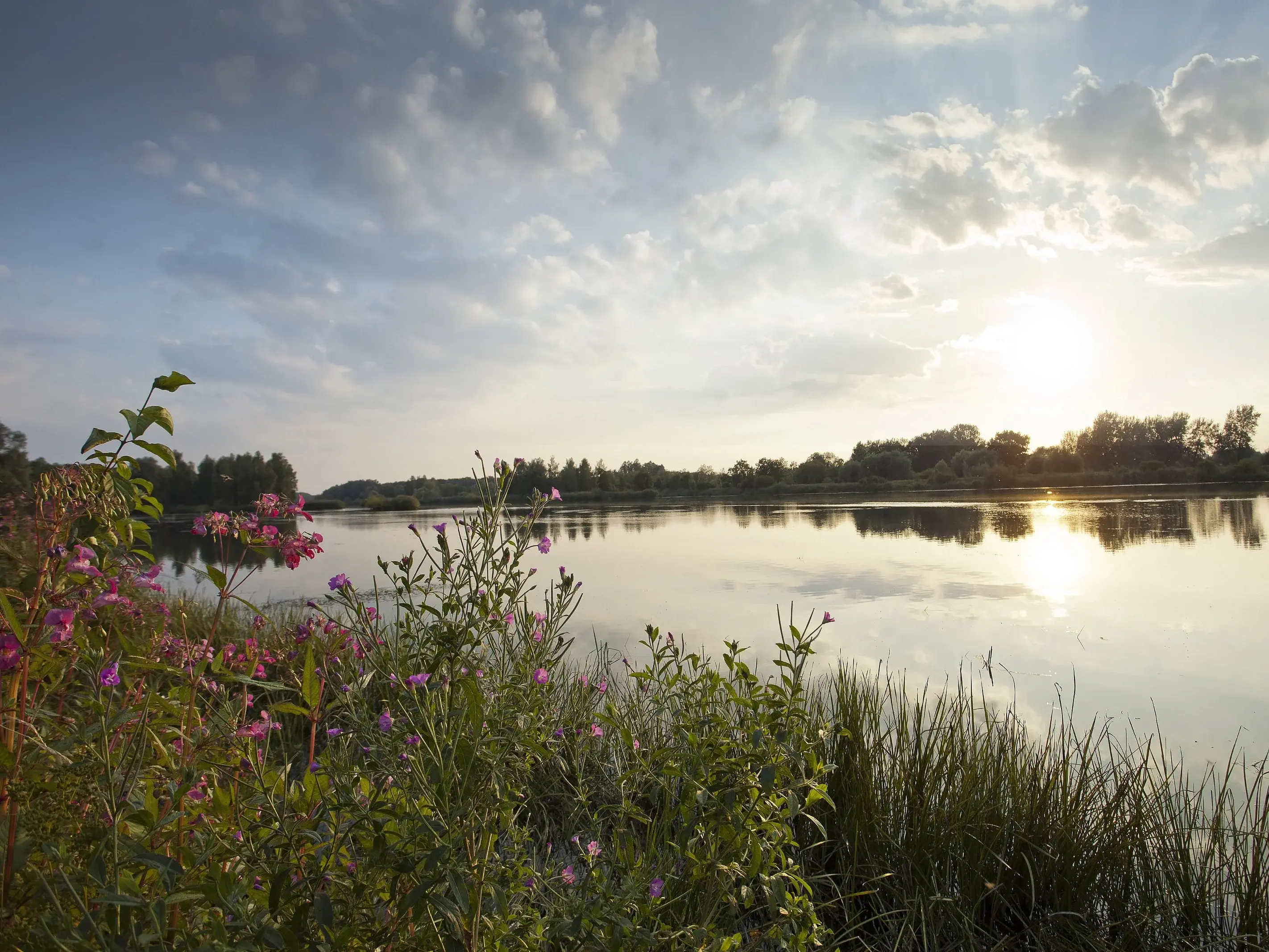 Landschaft entlang der Donau - © Tourismusverband Allgäu/Bayerisch-Schwaben e.V. Landschaft entlang der Donau in Bayerisch Schwaben