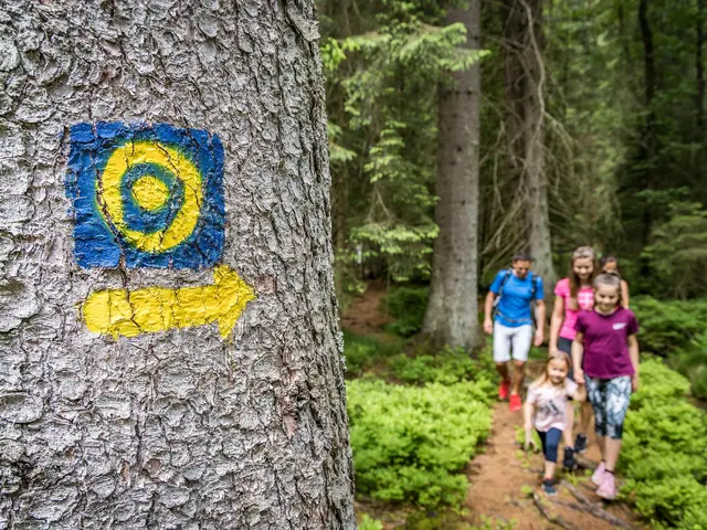 Goldlehrpfad in Oberviechtach - © Tourismusverband Oberpfälzer Wald Goldlehrpfad in Oberviechtach im Oberpfälzer Wald